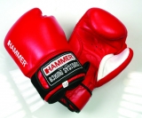 Hammer Premium Boxhandschuh Prano rot