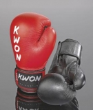 Kwon Boxhandschuh Ergo Champ